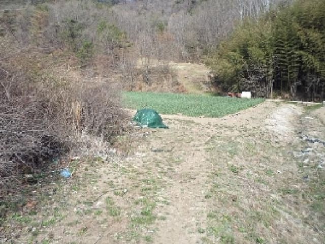 B000423202501300102732.jpg