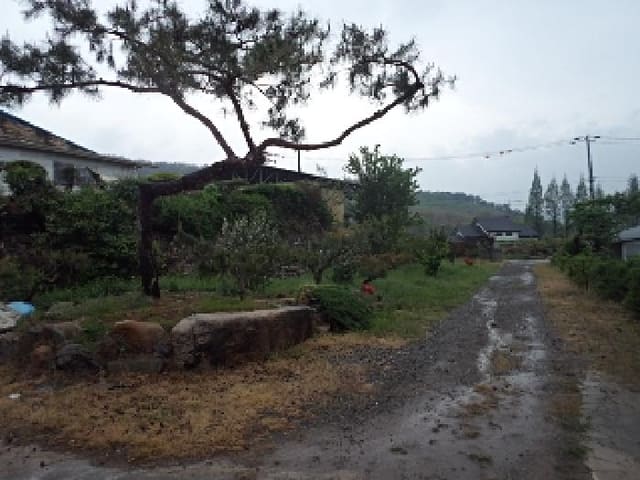 B000423202501300102963.jpg