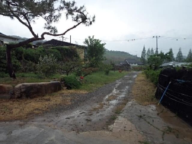 B000423202501300102962.jpg