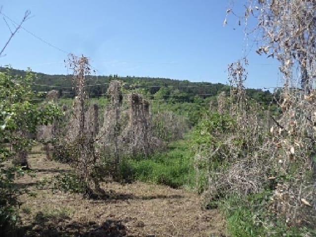 B000423202501300103023.jpg