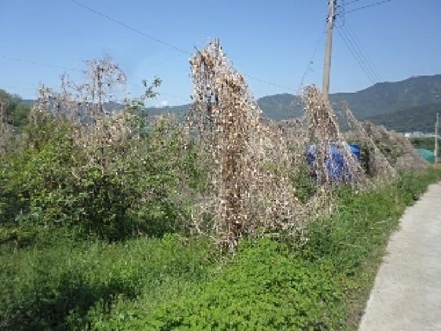 B000423202501300103024.jpg