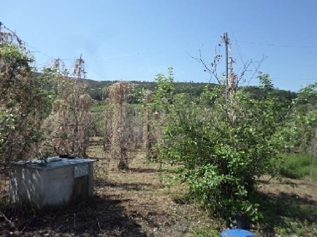 B000423202501300103021.jpg
