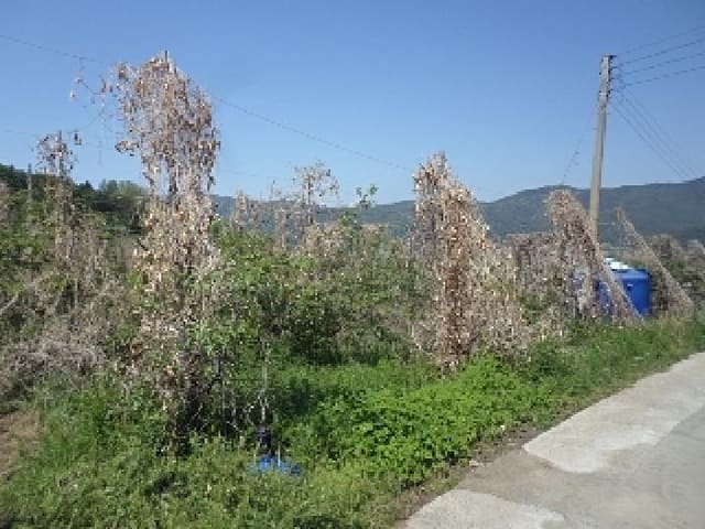B000423202501300103022.jpg