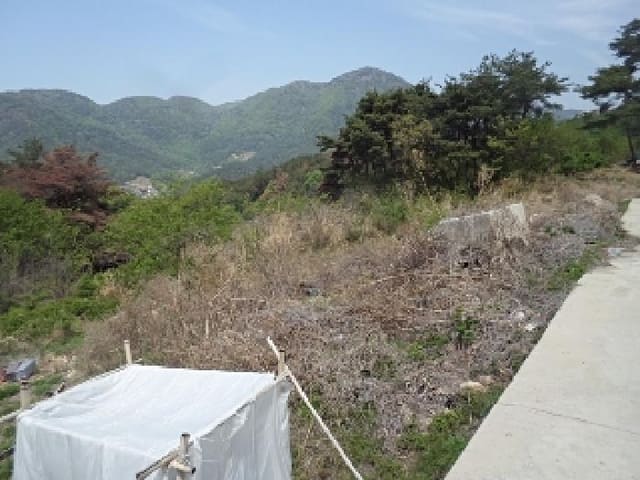 B000423202501300103102.jpg
