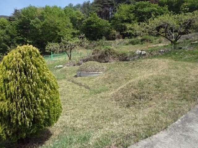 B000423202501300103134.jpg