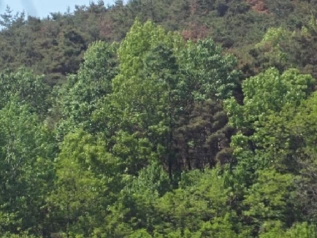 B000423202501300103222.jpg