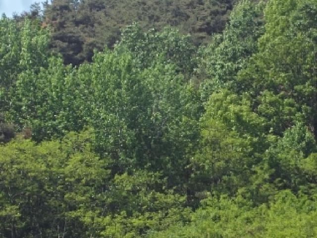 B000423202501300103224.jpg