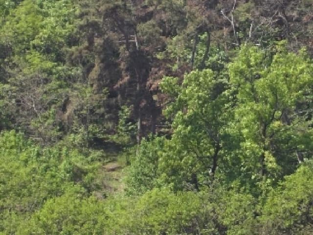 B000423202501300103221.jpg