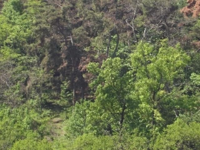 B000423202501300103223.jpg