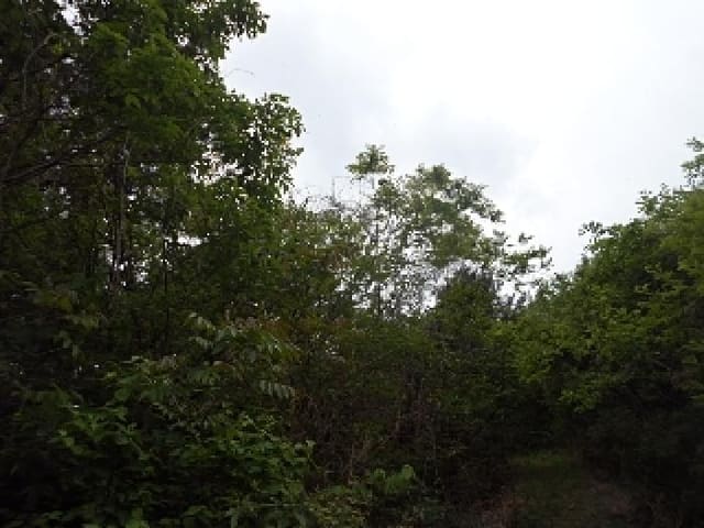 B000423202501300103243.jpg