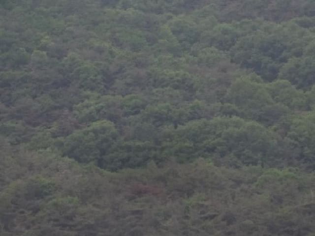 B000423202501300103241.jpg
