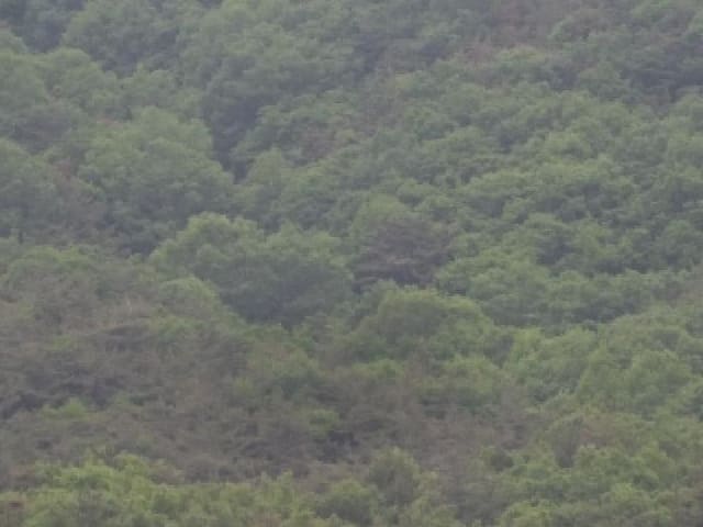 B000423202501300103242.jpg