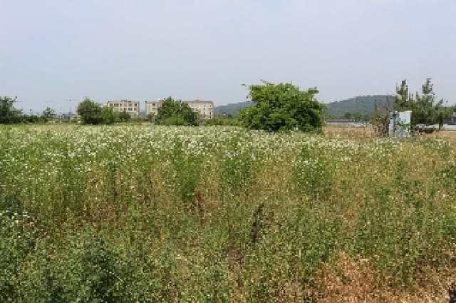 B000423202501300103521.jpg