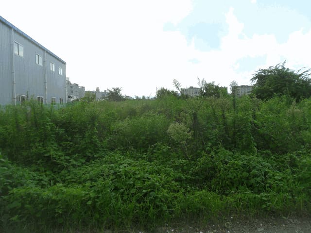B000423202501300103524.jpg