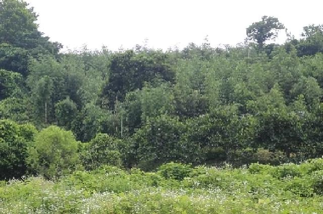 B000423202501300103731.jpg