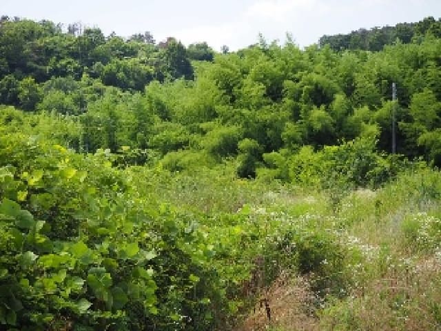 B000423202501300103823.jpg