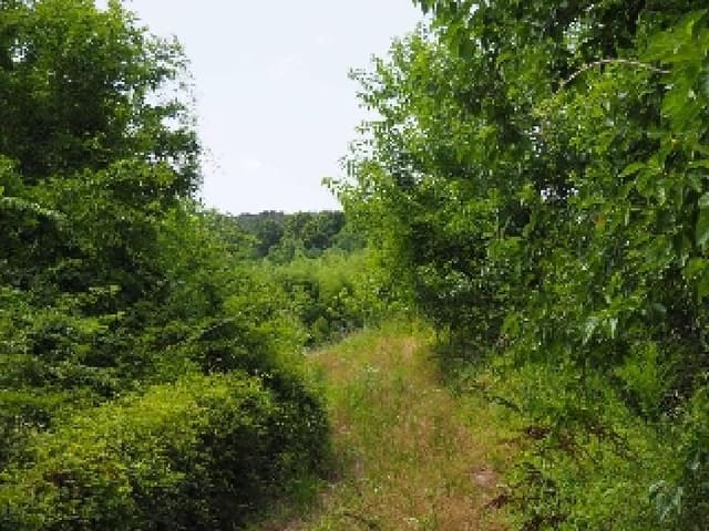 B000423202501300103822.jpg