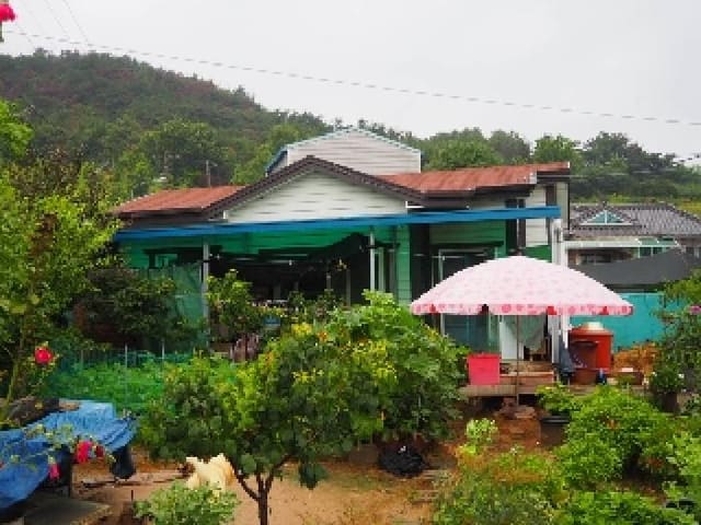 B000423202501300103952.jpg