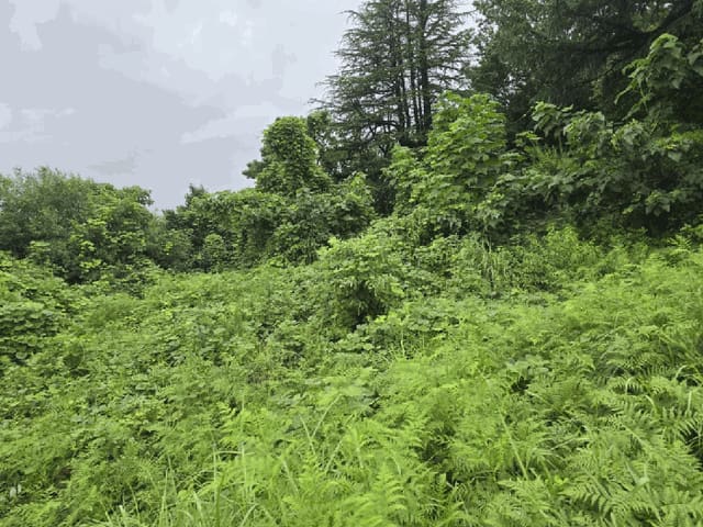 B000423202501300104084.jpg