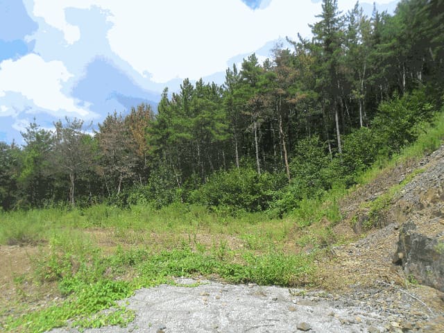 B000423202501300104204.jpg