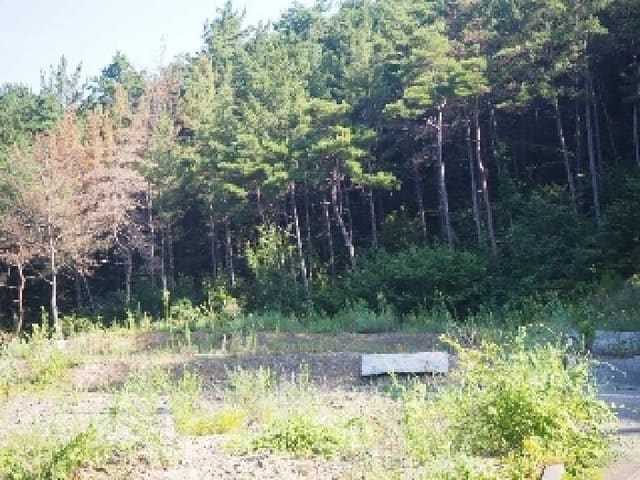 B000423202501300104201.jpg