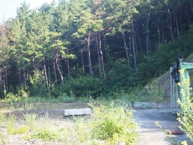 B000423202501300104202.jpg