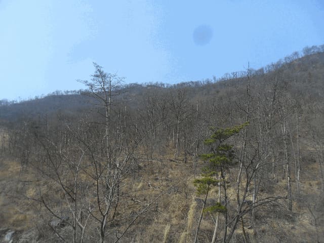 B000423202501300104294.jpg