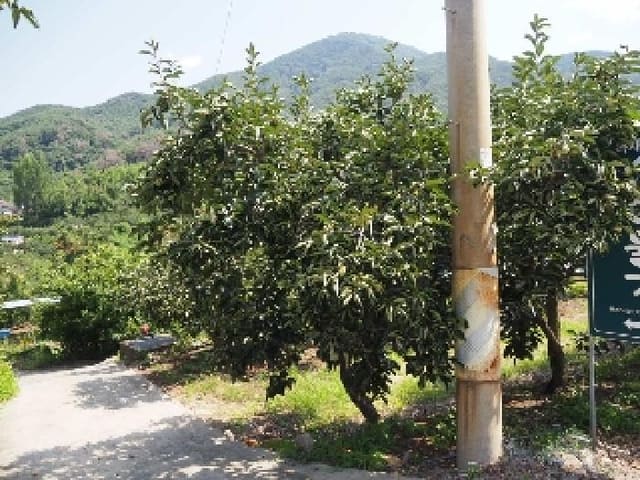 B000423202501300104331.jpg