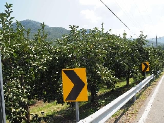 B000423202501300104332.jpg