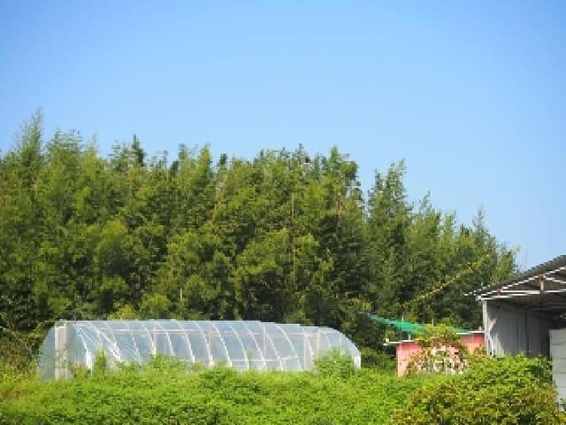 B000423202501300104502.jpg