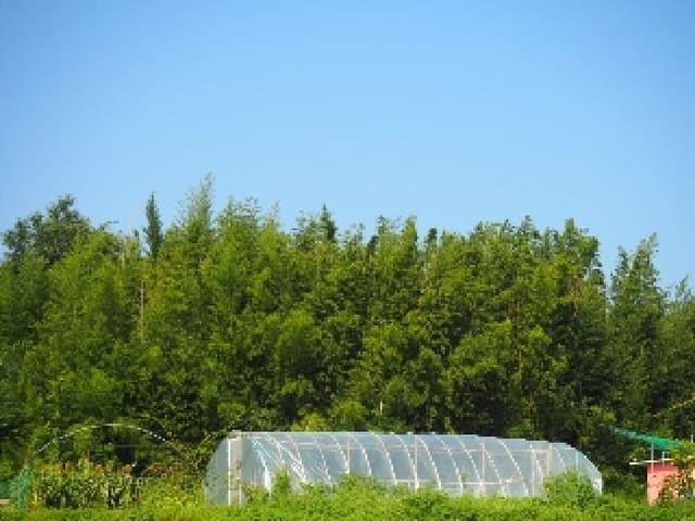 B000423202501300104503.jpg