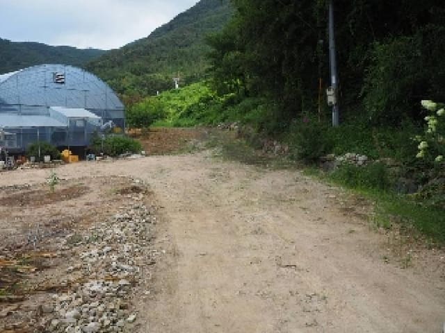 B000423202501300104532.jpg