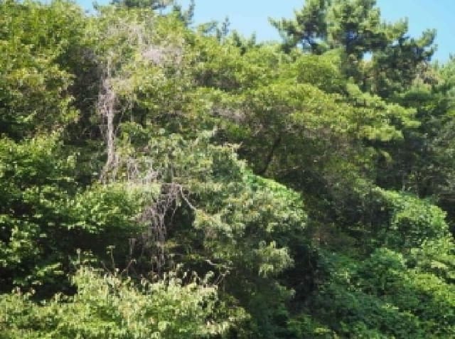 B000423202501300104631.jpg