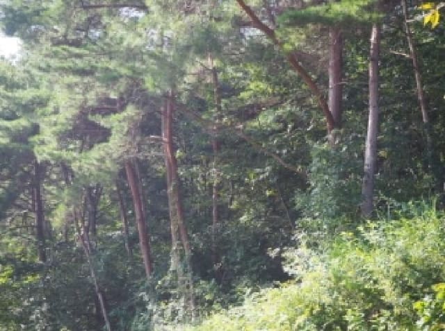 B000423202501300104632.jpg