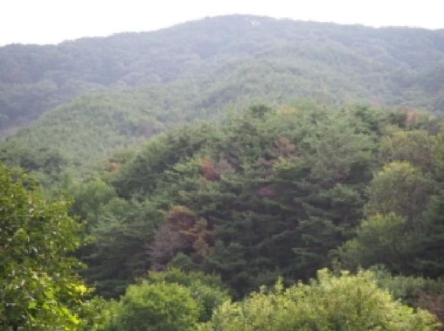 B000423202501300104794.jpg