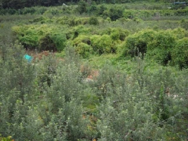 B000423202501300104874.jpg