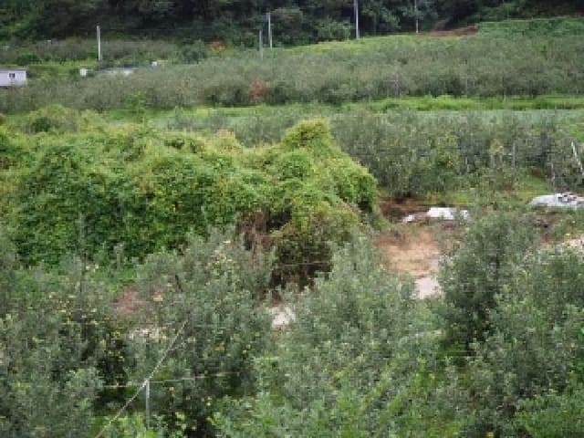 B000423202501300104872.jpg