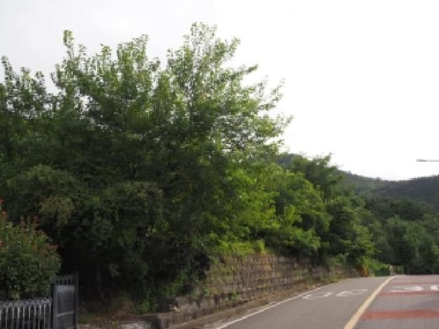 B000423202501300104951.jpg