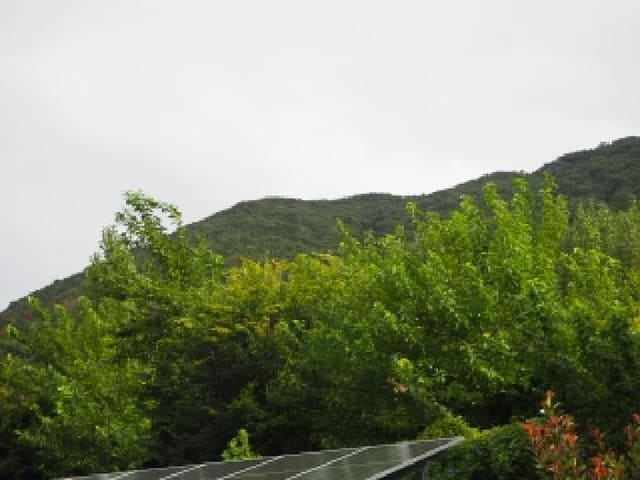B000423202501300104953.jpg