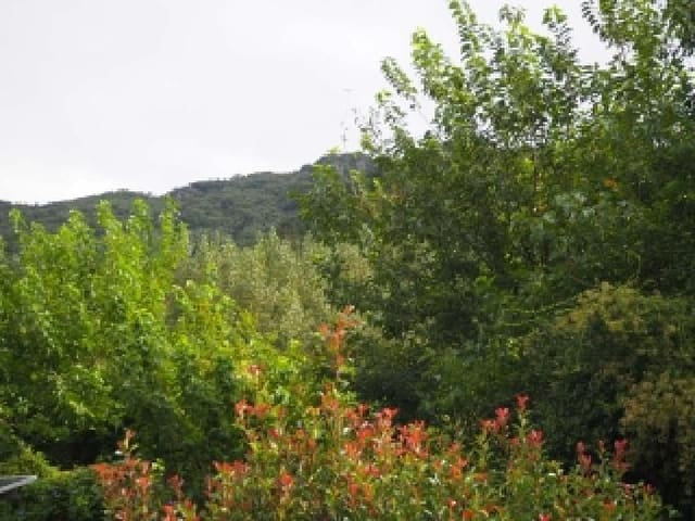 B000423202501300104954.jpg
