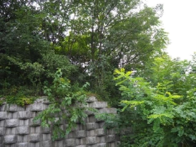 B000423202501300105003.jpg