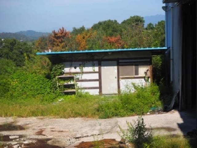 B000423202501300105053.jpg