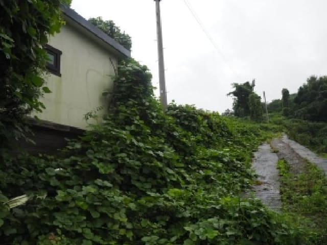 B000423202501300105084.jpg