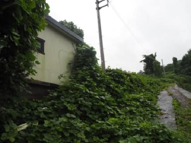 B000423202501300105082.jpg