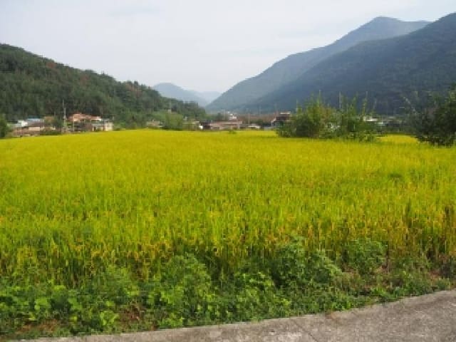 B000423202501300105113.jpg