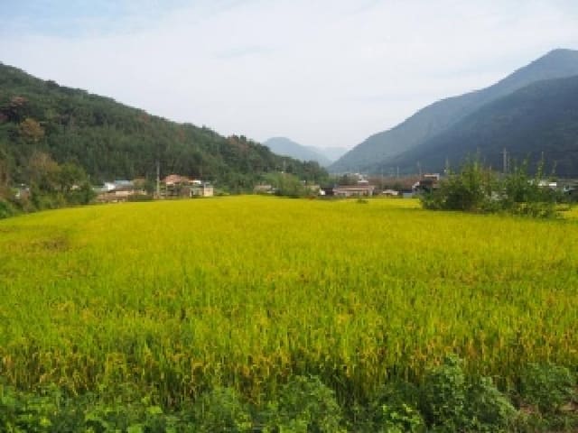 B000423202501300105114.jpg