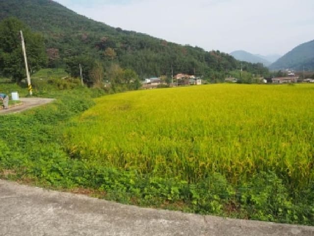 B000423202501300105112.jpg