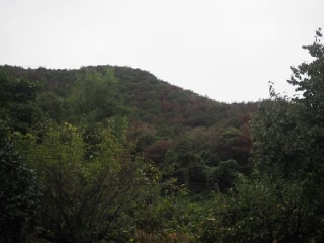 B000423202501300105181.jpg