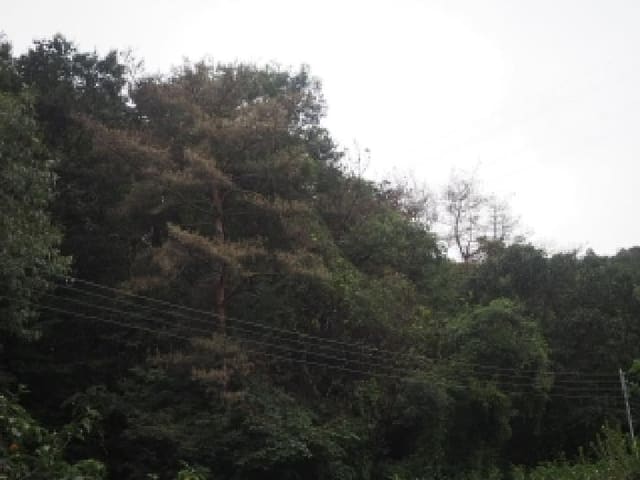 B000423202501300105183.jpg
