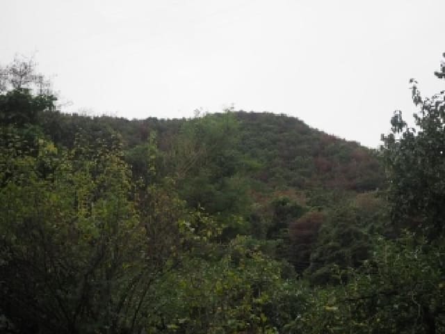 B000423202501300105182.jpg